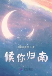 候你归南小说阅读