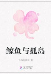 鲸鱼与孤岛小说阅读