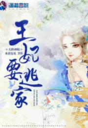 天降神棍：王妃要逃家