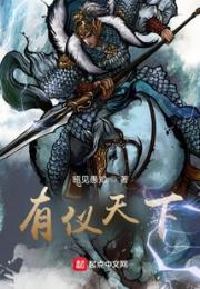 有仪天下小说阅读