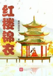 红楼锦衣小说阅读