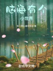 脑海有个小世界小说阅读