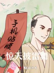 惊天披雷舞小说阅读