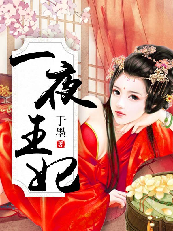 一夜王妃小说阅读