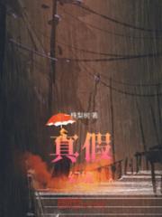 真假幻境小说阅读