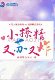 小撩精又苏又炸小说阅读