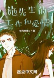 施先生的工作和爱情小说阅读