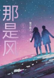 那是风在流浪小说阅读