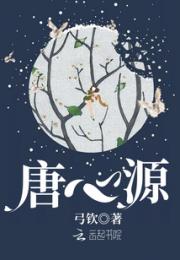 唐心源小说阅读