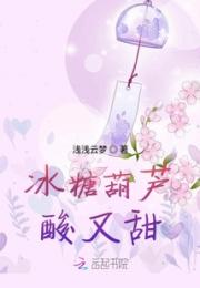 冰糖葫芦酸又甜小说阅读