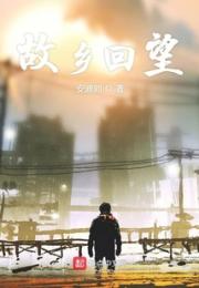 故乡回望小说阅读