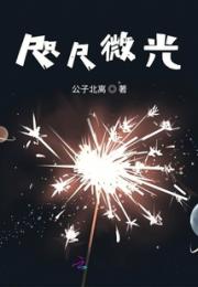 咫尺微光小说阅读