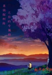名侦探柯南之你的专属骑士小说阅读
