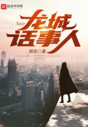 龙城话事人小说阅读