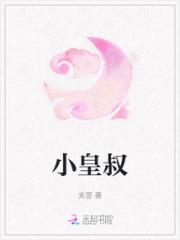 小皇叔小说阅读