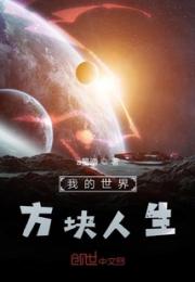 我的世界方块人生小说阅读