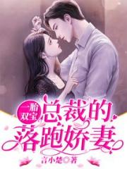 一胎双宝：总裁的落跑娇妻小说阅读