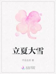 立夏大雪小说阅读