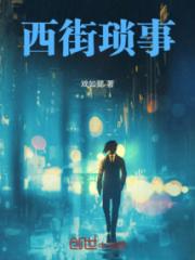 西街琐事小说阅读