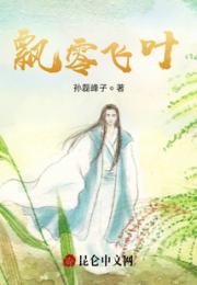 飘零飞叶江湖泪小说阅读