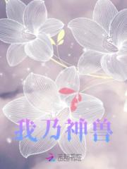 我乃神兽小说阅读