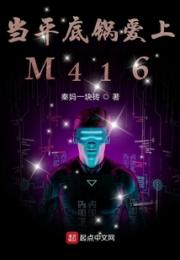 当平底锅爱上M416小说阅读