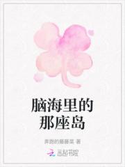 脑海里的那座岛小说阅读