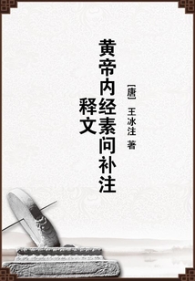 黄帝内经素问补注释文小说阅读