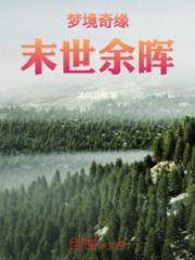 梦境奇缘，末世余晖小说阅读