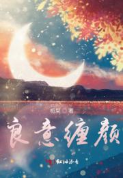 良意缠颜小说阅读