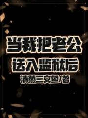当我把老公送入监狱后小说阅读