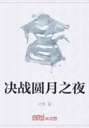 决战圆月之夜