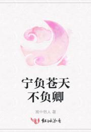 宁负苍天不负卿小说阅读
