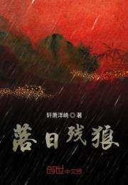 落日残狼小说阅读