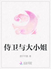 侍卫与大小姐小说阅读