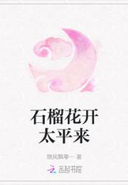 石榴花开太平来小说阅读