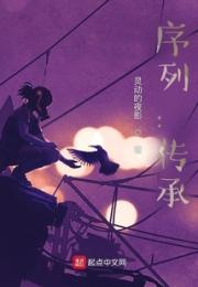 序列：传承小说阅读