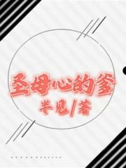 “圣母心”的爹小说阅读