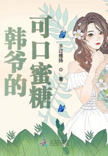 韩爷的可口蜜糖小说阅读