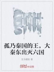 孤乃秦国的王，大秦东出灭六国小说阅读