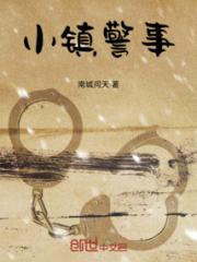 小镇警事小说阅读