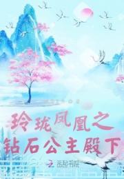 玲珑凤凰之钻石公主殿下小说阅读