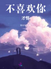 不喜欢你，才怪小说阅读