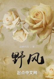 野风小说阅读