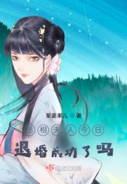 丞相夫人今日退婚成功了吗？小说阅读