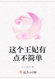 这个王妃有点不简单小说阅读