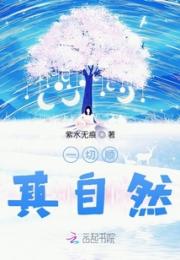 一切顺其自然小说阅读