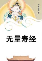 无量寿经小说阅读
