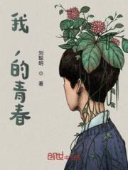 我，的青春小说阅读