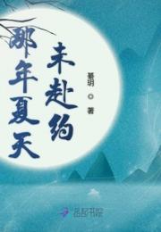 那年夏天未赴约小说阅读